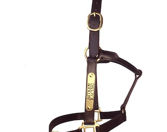 Cabezada de cuero para caballos pura sangre / Herrajes de latón / Color latón / Cabezada a medida / Cabezada personalizada / Cabezada para caballos / Hecha a medida