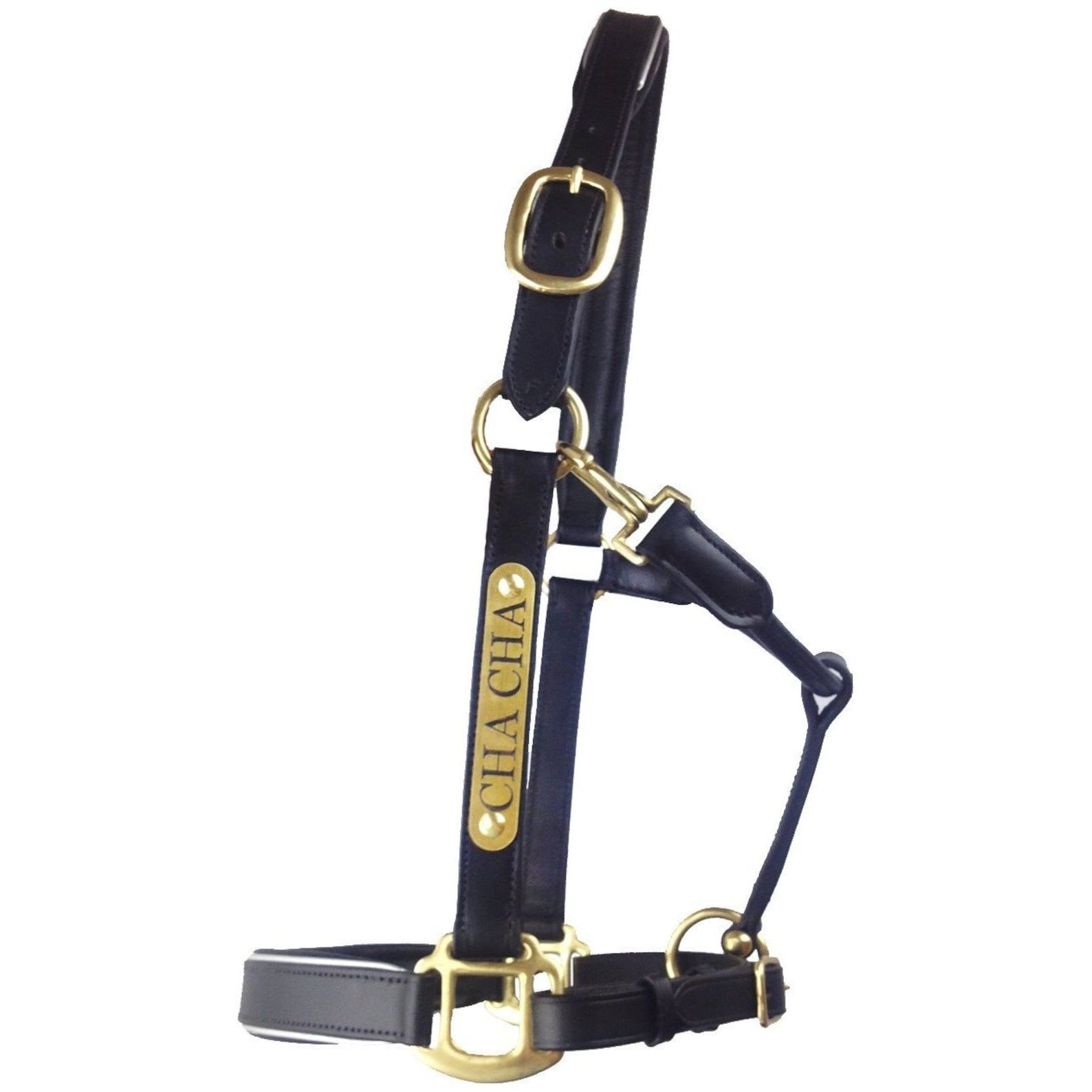 New!  PVC Halter Black - Stainless Steel Fittings with Engraved Horse Nameplate