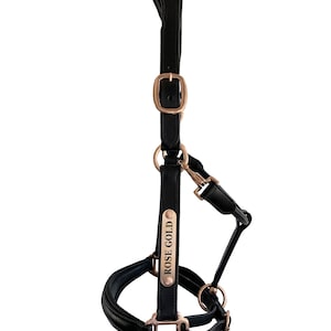 Horse Leather Halter | Gold Rose Fittings |Gold Rose Colour | Custom Halter | Personalised Halter | Horse Halter | Made To Order | Gold Rose