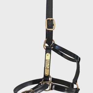 May include: Black leather horse halter with gold-coloured hardware. The halter features a buckle closure and a gold-coloured plate with the text "AITKEN RACING". The halter is designed for equestrian use.