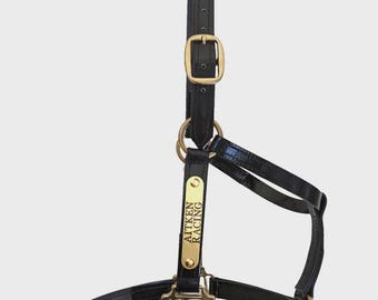Horse PVC Halter | Horse Halter | Personalised Halter | Brass Fittings | Engraved Horse Nameplate |