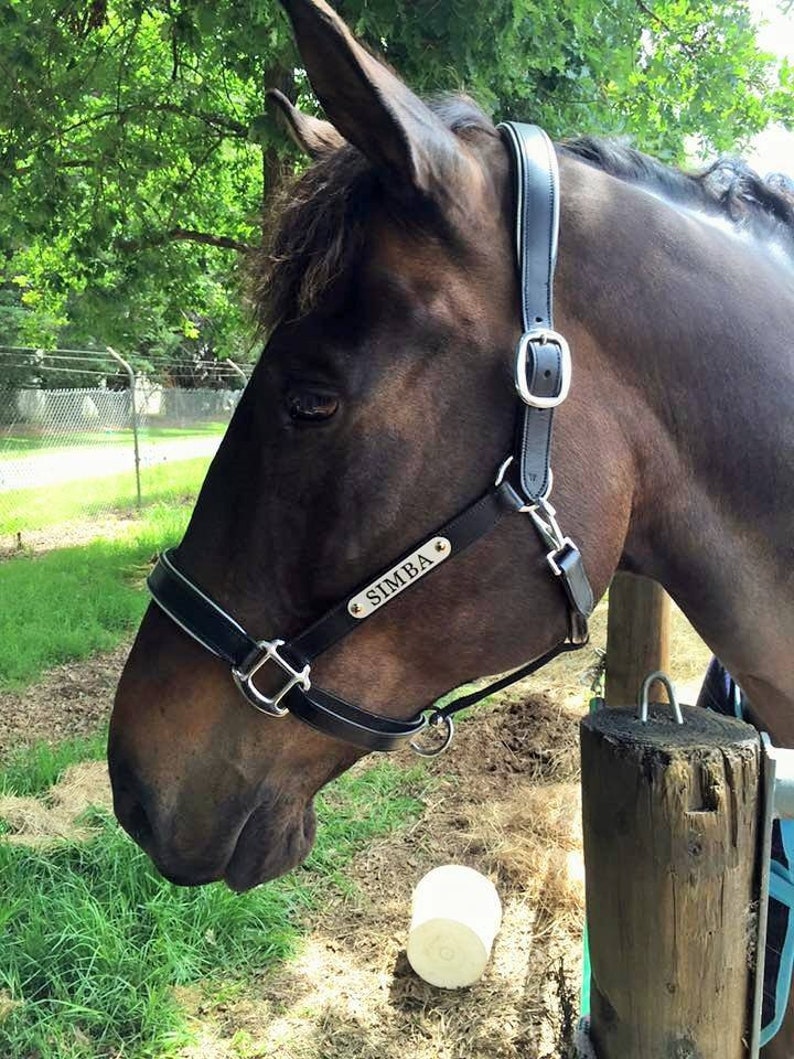 Horse Leather Halter Horse Halter Personalised Halter Etsy