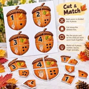 May include: A printable educational activity sheet featuring four large acorn illustrations, each divided into four quadrants. Each quadrant displays a number, a hand gesture, a set of dots, or autumn leaves. Text includes Cut & Match instructions.
