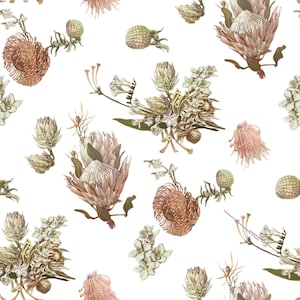 May include: A repeating pattern featuring botanical illustrations of protea flowers, buds, and small white blossoms on a white background. The protea blooms are rendered in shades of soft pink, muted peach, and earthy brown with green stems.