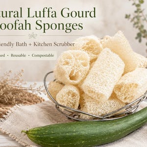 May include: A collection of beige, fibrous luffa gourd sponges in a wire basket, accompanied by a whole green luffa gourd. Text reads: Natural Luffa Gourd Loofah Sponges, Eco-Friendly Bath + Kitchen Scrubber, Plant-Based, Reusable, Compostable.
