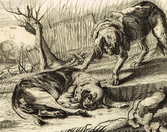 Antique French 18th century etching engraving print of dogs by Jean Le Pautre published by Pierre Mariette Paris