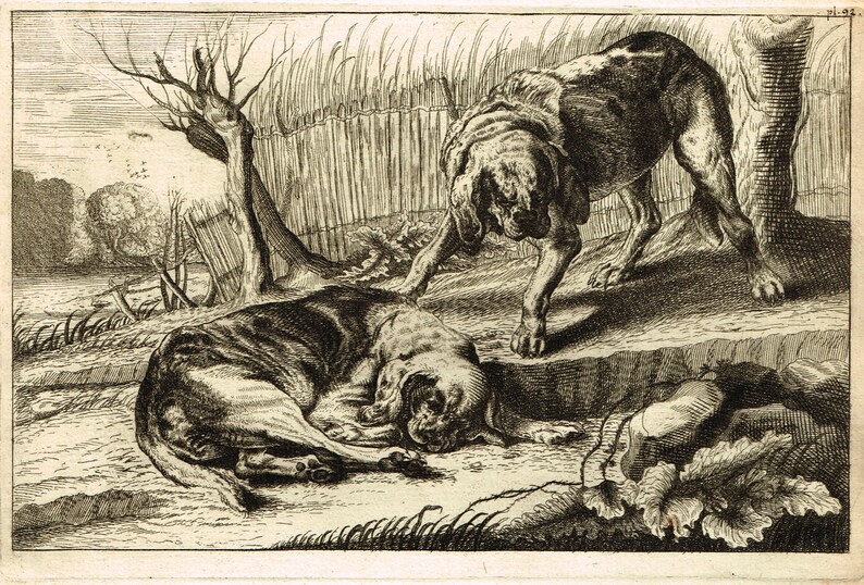 Antique French 18th century etching engraving print of dogs by Jean Le Pautre published by Pierre Mariette Paris