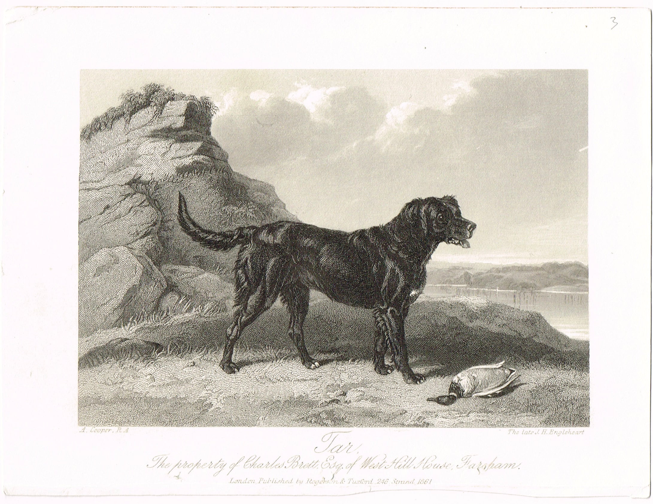 Dog engraving clearance