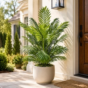 May include: A tall, vibrant green palm plant with long, feathery fronds extending outwards in a symmetrical pattern. The plant is housed in a smooth, rounded, light beige stone-coloured planter that sits directly on a tiled patio surface.