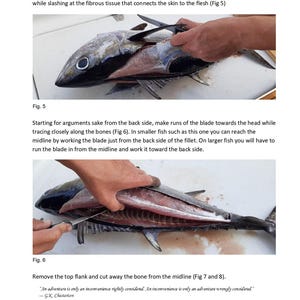 K&ouml;nnte beinhalten: Eine Seite aus einem Handbuch mit zwei instruktiven Fotos, die das Filetieren eines Thunfischs zeigen. Das obere Bild zeigt ein Messer, das die Haut vom Fleisch trennt. Das untere Bild zeigt ein Messer, das entlang der Mittellinie schneidet.