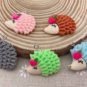 Resin Cute Hedgehog Charms,Animal Pendants For Jewelry Making,Earring Necklace Bracelet Findings Decoration Accessories,DIY Craft Supplies