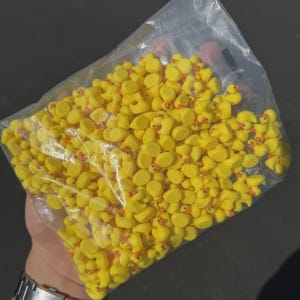 Puede incluir: Una bolsa de plástico transparente llena de una gran cantidad de patitos de goma amarillos en miniatura. Cada pequeño pato presenta un cuerpo amarillo brillante y un pico naranja distintivo, creando una densa colección de figuras idénticas.