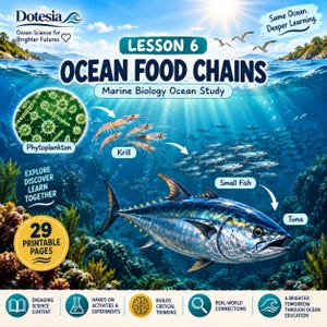 Puede incluir: Un póster educativo titulado Lesson 6 Ocean Food Chains sobre biología marina. Muestra una cadena alimentaria desde el fitoplancton hasta el krill, peces pequeños y un atún. Incluye texto: Dotesia, Same Ocean. Deeper Learning, 29 Printable Pages.