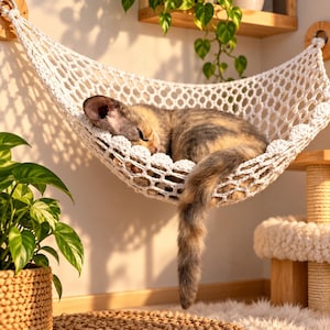 Op de afbeelding: Een crèmekleurige macramé kattenhangmat met een geweven netpatroon en decoratieve ronde accenten langs de randen. De hangmat is opgehangen aan houten muurbevestigingen en bevat een slapende schildpadkleurige kat met de staart naar beneden.