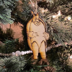 why does ross dress up as an armadillo for christmas private-members-all