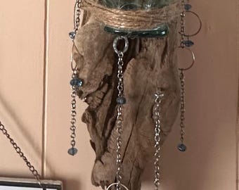 Glass Bottle Moon Driftwood Wall Hanging