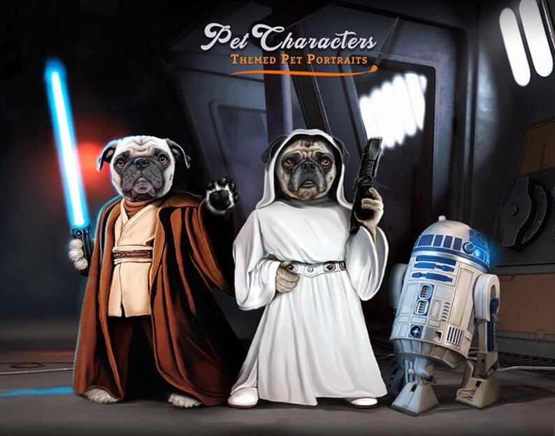 Jedi Star Wars Multiple Pet Portrait Star Wars costume pet ...