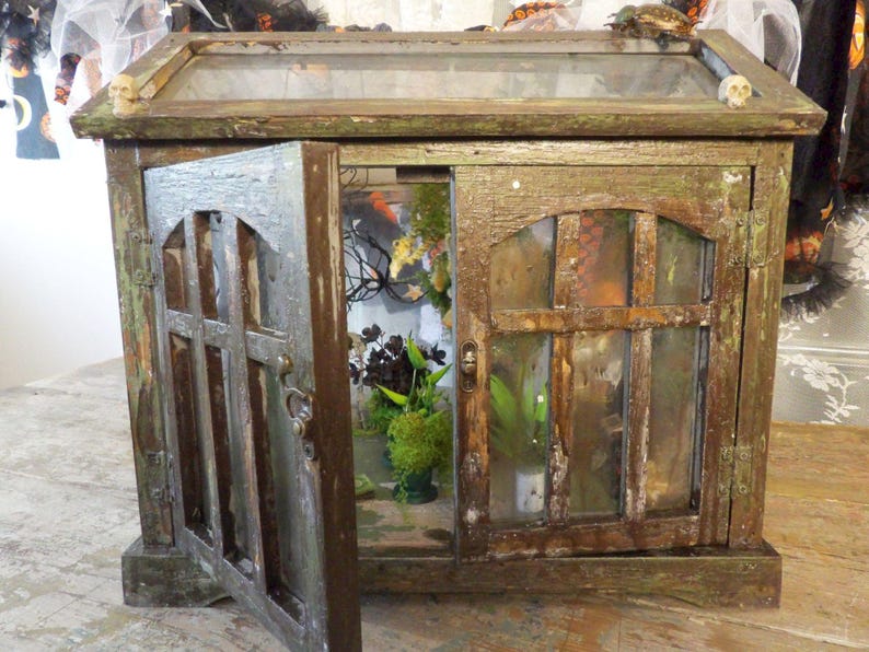 Op de afbeelding: Een verweerde houten kast met een glazen bovenkant en deuren, waarvan er &eacute;&eacute;n open is. De kast heeft een verweerde, verouderde uitstraling met groene en bruine tinten. Binnenin zijn planten en decoratieve elementen zichtbaar. Kleine schedelaccenten zitten bovenop.