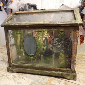 Op de afbeelding: Een vintage houten terrarium met een glazen boven- en zijkant. Het frame heeft een verweerde uitstraling met groene en bruine tinten. Binnenin is een miniatuurtuin met mos, planten en een donkere ovale spiegel. Het terrarium staat op een houten oppervlak.