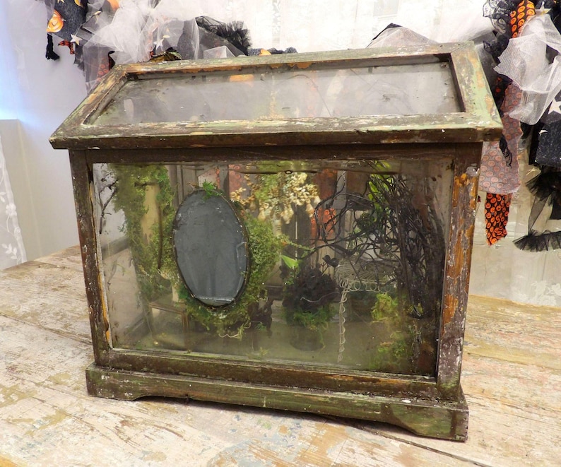 Op de afbeelding: Een vintage houten terrarium met een glazen boven- en zijkant. Het frame heeft een verweerde uitstraling met groene en bruine tinten. Binnenin is een miniatuurtuin met mos, planten en een donkere ovale spiegel. Het terrarium staat op een houten oppervlak.