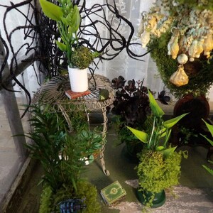 Op de afbeelding: Een interieur met potplanten en decoratieve elementen. Een kleine, sierlijke metalen tafel draagt een witte pot met groen en een miniatuurboek. Andere planten zijn met mos bedekte potten en een groot bloemstuk.