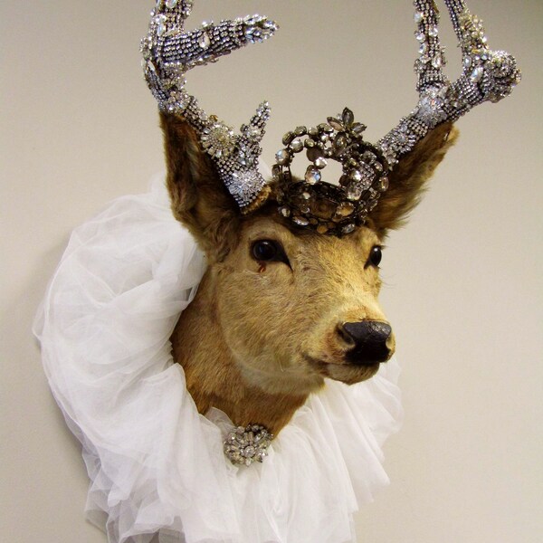 Deer Head Taxidermy - Etsy