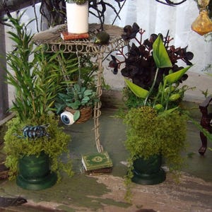 Op de afbeelding: Een miniatuur, grillige display met potplanten, mos en decoratieve elementen. De sc&egrave;ne bevat een kleine draadtafel, miniatuurboeken en een hangmand met een groot oog. Het kleurenpalet wordt gedomineerd door groen, bruin en donkere accenten.