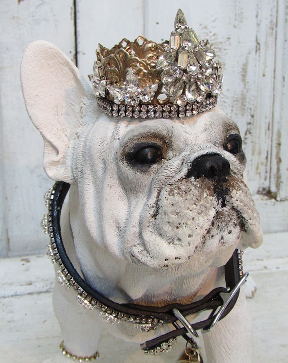 french bulldog albino