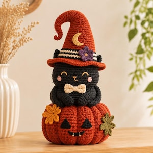 May include: A crocheted black cat figurine wearing a tall orange witch hat with a yellow crescent moon and purple flower, sitting on a round orange pumpkin with a jack-o'-lantern face, decorated with two small crocheted leaves.