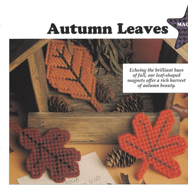 Autumn Leaves & Tulip Time Plastic Canvas Pattern/Leisrue Arts All Stars