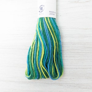 Sashiko Thread | Variegated Japanese Cotton Thread for Sashiko Embroidery, Visible Mending, Hand Embroidery Floss - GREEN BLUE (#77)
