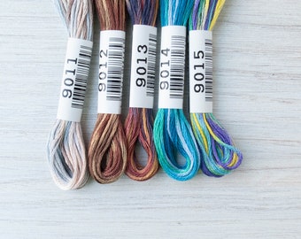 Ensemble de fil à broder panaché | Lecien COSMO Seasons Lot de fils à broder pour broderie à la main, point de croix - BRUN BLEU (9011-9015)