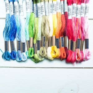 Variegated Embroidery Floss Set | Lecien COSMO Seasons 5001 - 5020 Collection of Embroidery Thread - 20 Colors - RAINBOW