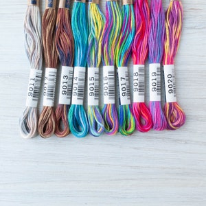 Variegated Embroidery Floss Set | Lecien COSMO Seasons Embroidery Thread Set for Hand Embroidery - 9000 SERIES COLLECTION 2 (9011-9020)
