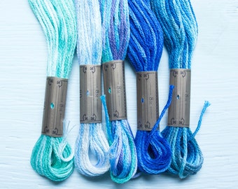 Variegated Embroidery Floss | Lecien COSMO Seasons Embroidery Thread Set for Hand Embroidery, Cross Stitch, Quilting - BLUES (5016-5020)