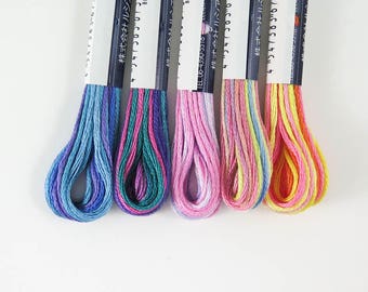 COSMO Seasons Embroidery Floss Set | Lecien Cosmo 6 Strand Cotton Variegated Embroidery Thread Set of 5 Skeins - UNICORN TAILS