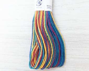 Fujix 'MOCO' Japanese Variegated Sashiko Embroidery Thread 818