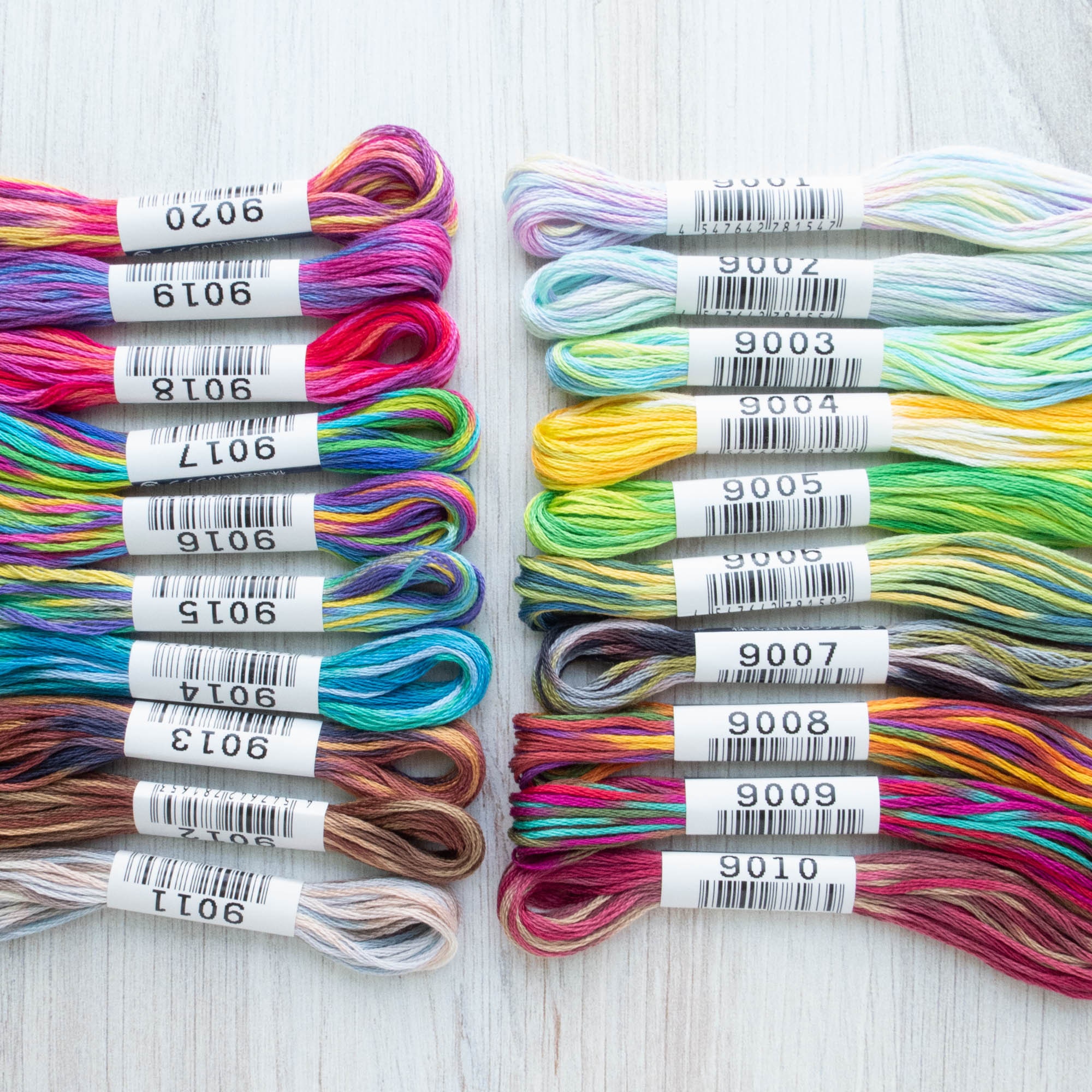 Hand Embroidery Floss - Cosmo Seasons Variegated #8059