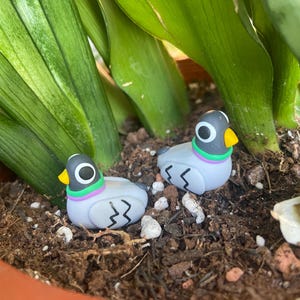 May include: Two small, sculpted pigeon figurines made of smooth grey material. Each bird features a dark grey head, a bright yellow beak, a white eye with a black pupil, and a vibrant purple and green band around the neck. Black lines detail the wings.