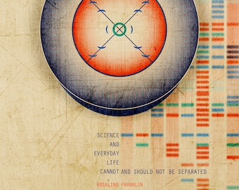 Rosalind Franklin Quote / Science and Everyday Life Cannot and Should Not Be Separated