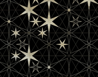 Carl Sagan Quote / We Are All Made Of Star Stuff - Art Print