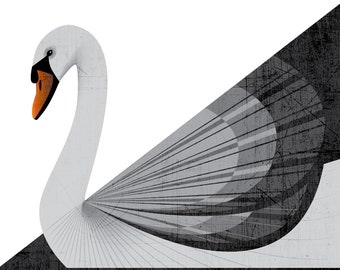 Swan Art Print