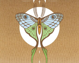 Lunar Moth Art Print