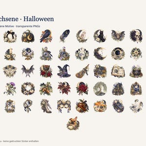 Op de afbeelding: Een digitale collectie van 51 Halloween-thema illustraties met pompoenen, schedels, manen, katten, uilen, vleermuizen, drankjes en bloemelementen. De tekst luidt Moonlio Creative, Erwachsene Halloween, 51 verschiedene Motive transparente PNGs.