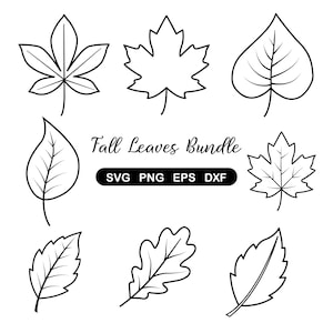 Könnte beinhalten: Eine digitale Sammlung von acht verschiedenen schwarz-weißen Strichzeichnungen von Herbstblättern. Der Text Fall Leaves Bundle steht zentriert über einem schwarzen rechteckigen Etikett mit dem weißen Text SVG PNG EPS DXF.