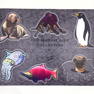 Marine Life Sticker Pack Waterproof Sticker Sheet – Alaska Country Salmon –Penguins Vinyl Sticker- Sea Lion- Walrus- Sticker Gift
