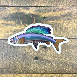 Puede incluir: Una pegatina colorida de un pez con una aleta manchada de azul, verde y rojo. El pez nada hacia la derecha y tiene un contorno blanco. La pegatina tiene el texto "Siren Ink Designs" en la esquina inferior derecha.