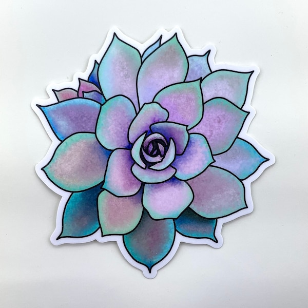 Original Artwork Succulent Sticker