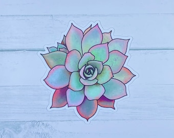 Obra original Edición rosa suculenta Pegatina