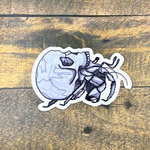 Skull Crab Sticker Original Artwork Waterproof Water Bottle and Laptop Decal